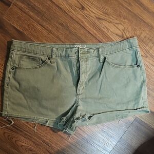 Olive Green Women's Shorts